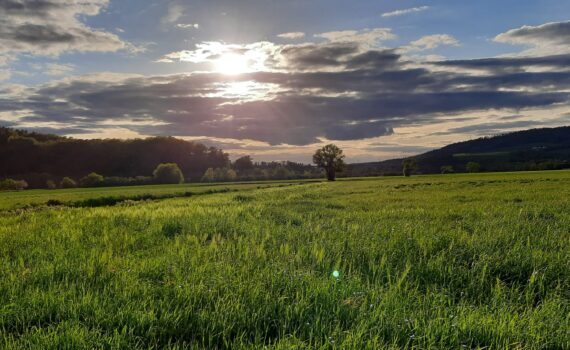 Im Fuldatal - Der Abend naht