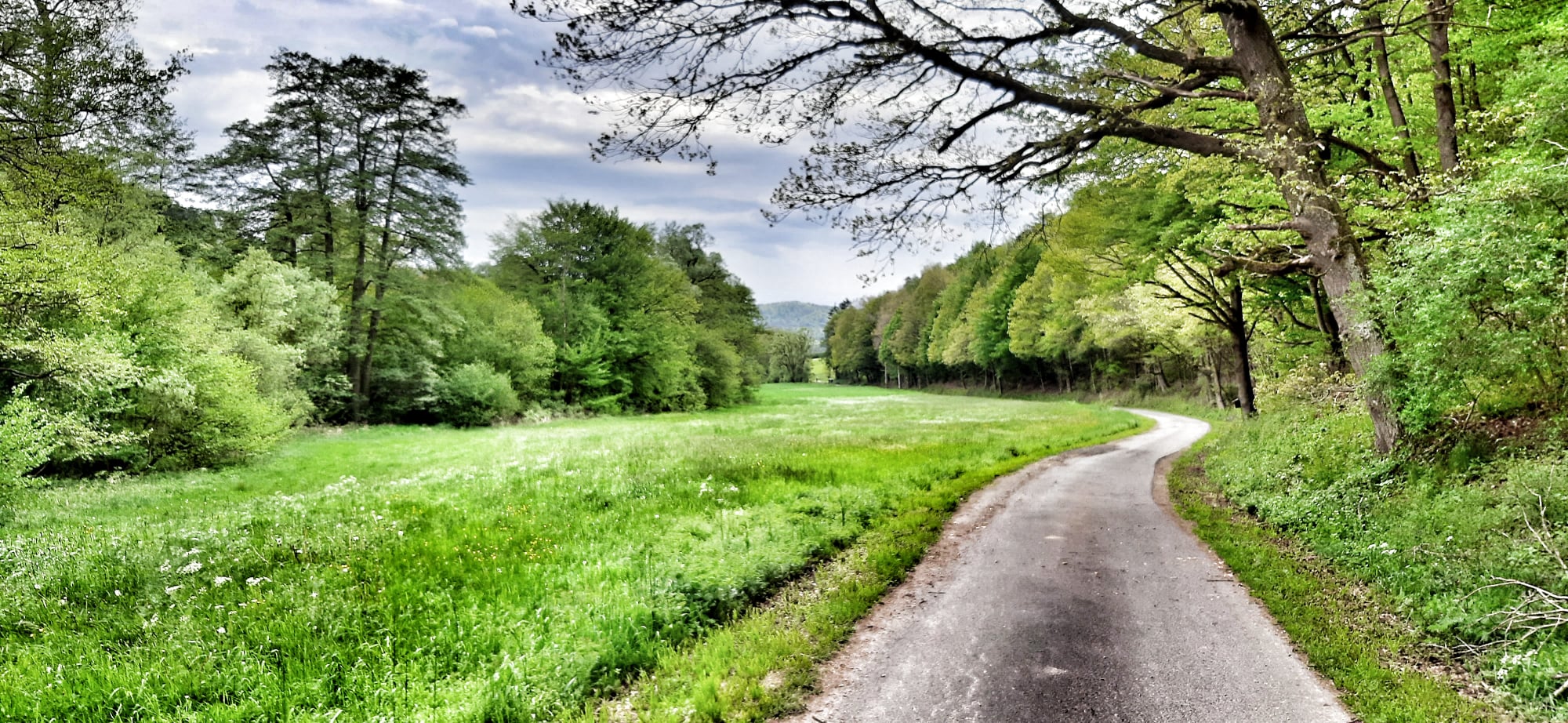 Altmorschen - Durch den Kessel.