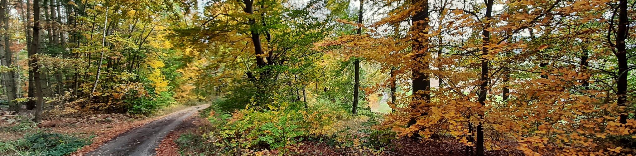 Eubach - Weg nahe Kurzrocksborn