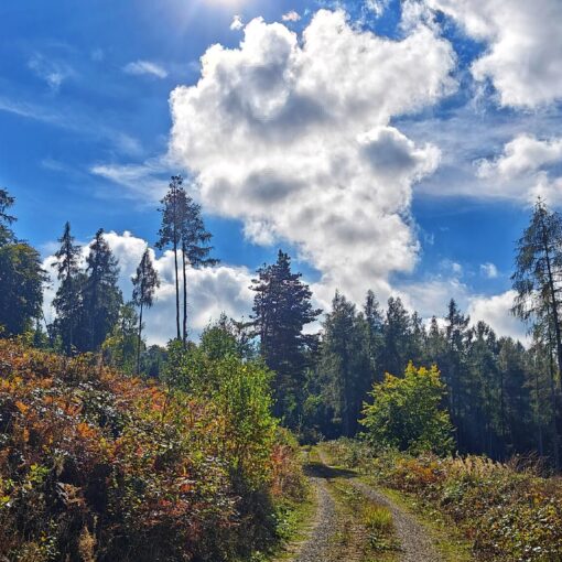 Am Jägerkopf entlang