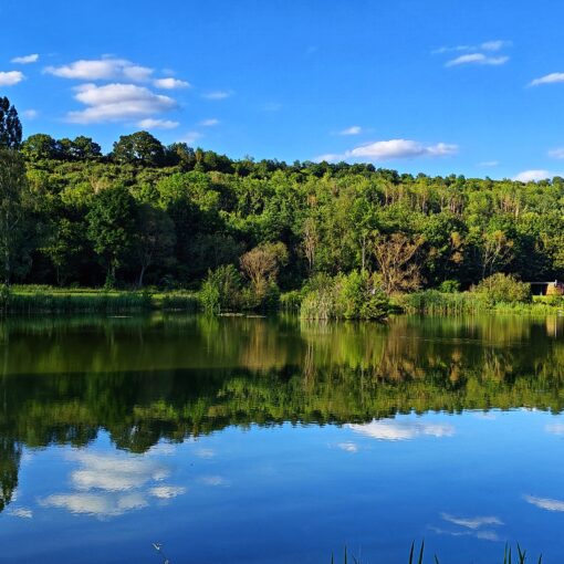 Angelsee Altmorschen