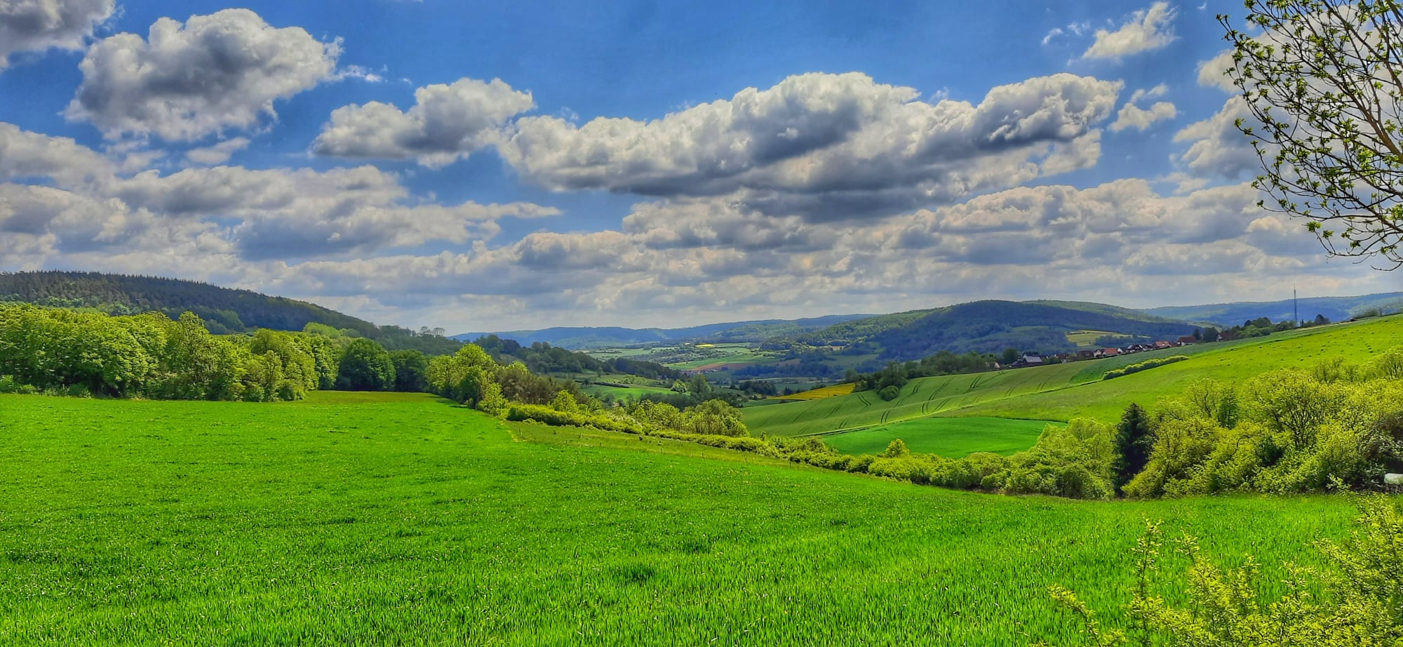 Blick in den Ranggrund