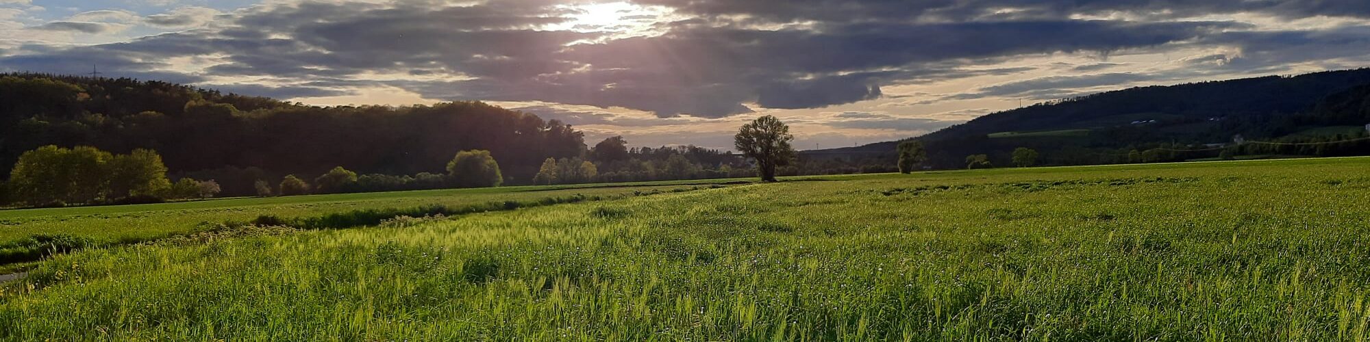 Im Fuldatal - Der Abend naht