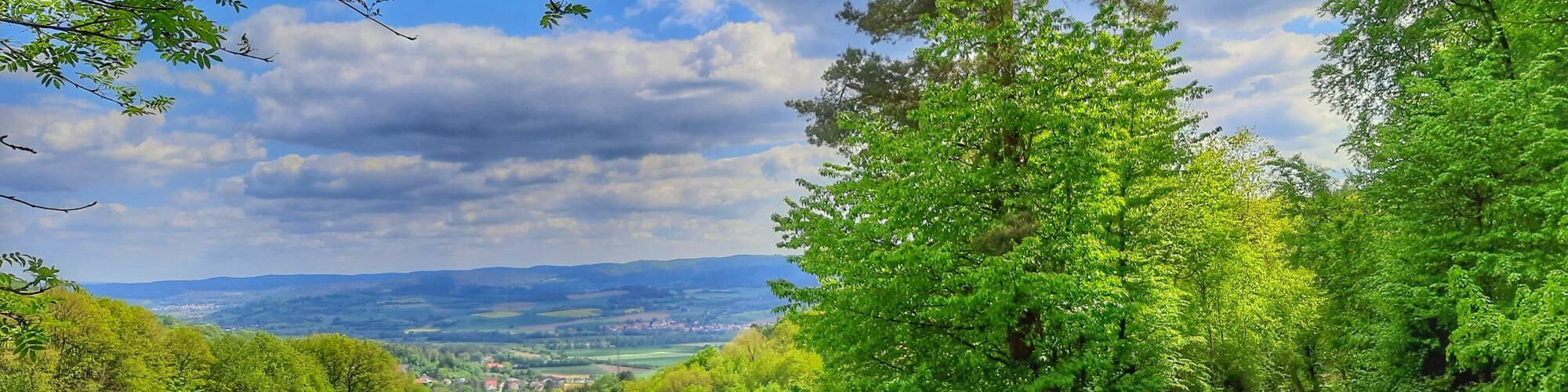 Blick auf Altmorschen