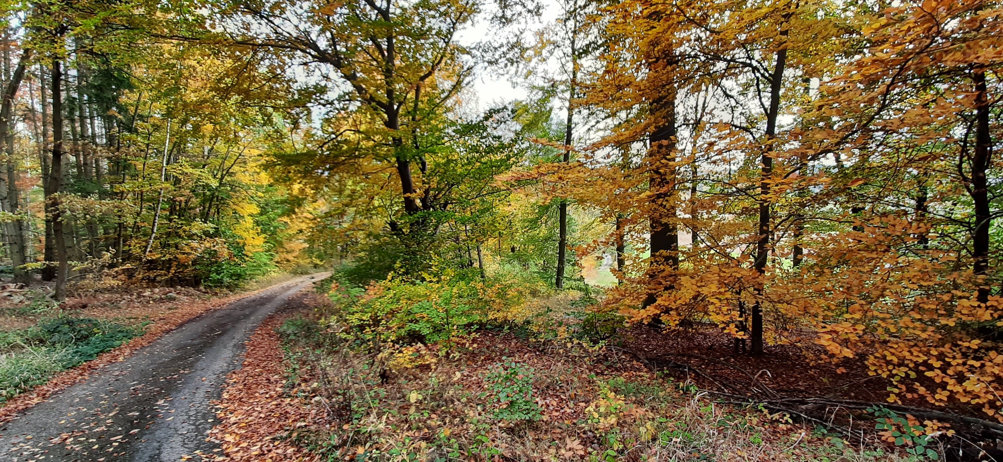 Eubach - Weg nahe Kurzrocksborn