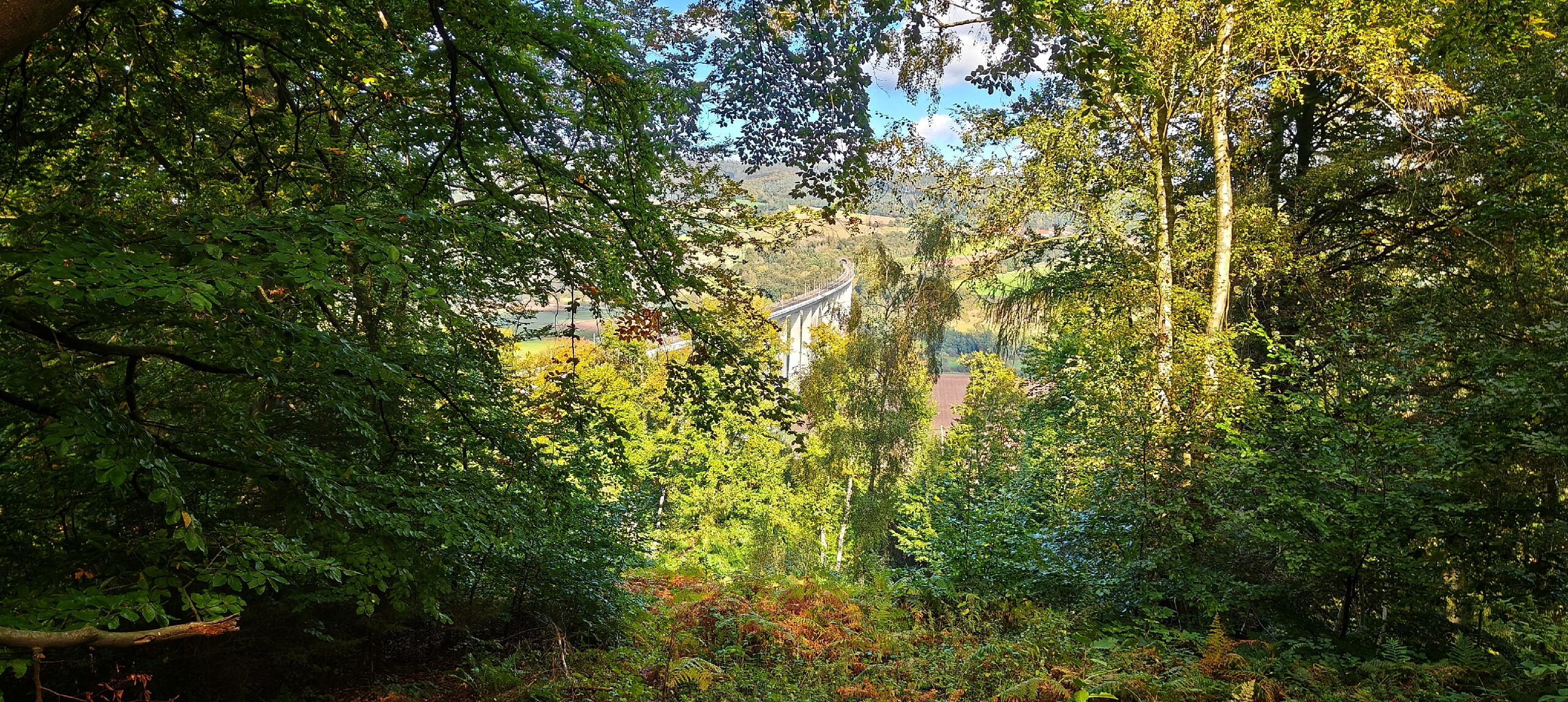 Binsförth - Blick auf die ICE-Brücke